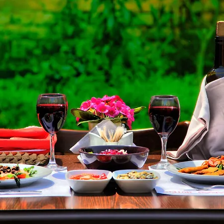 Otel Kervansaray - Special Category Çanakkale